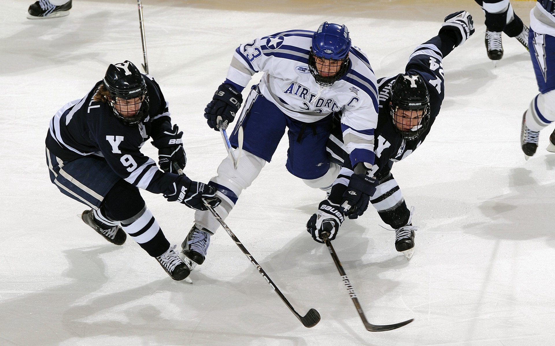 【场地环境影响】不同场馆如何影响比赛表现，场地环境对裁判员有什么影响